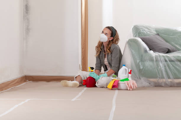 Reliable Mold Inspection And Testing contractor in Wheaton, IL by Car Mold Remediation